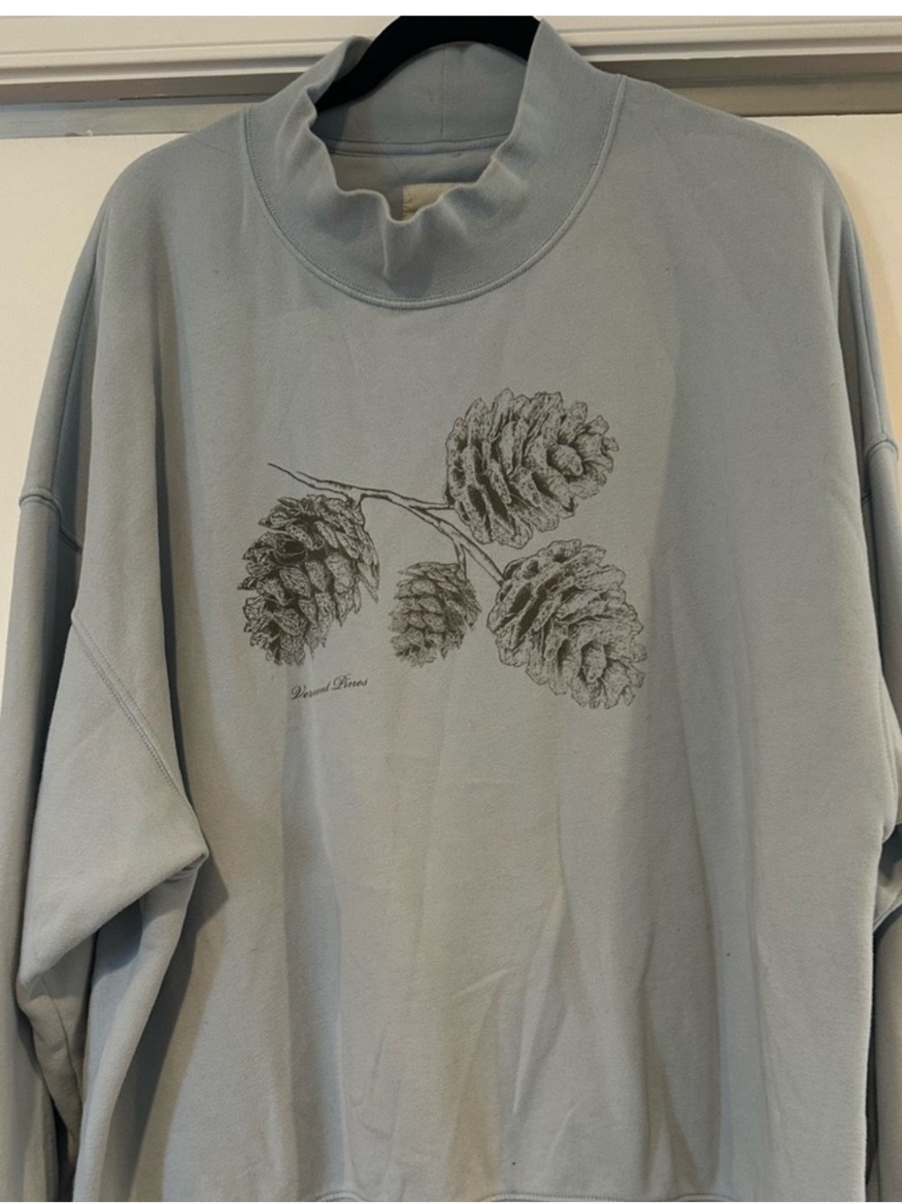 American Eagle Outfitters Light Blue Sweatshirt sweater with Pinecone Graphic